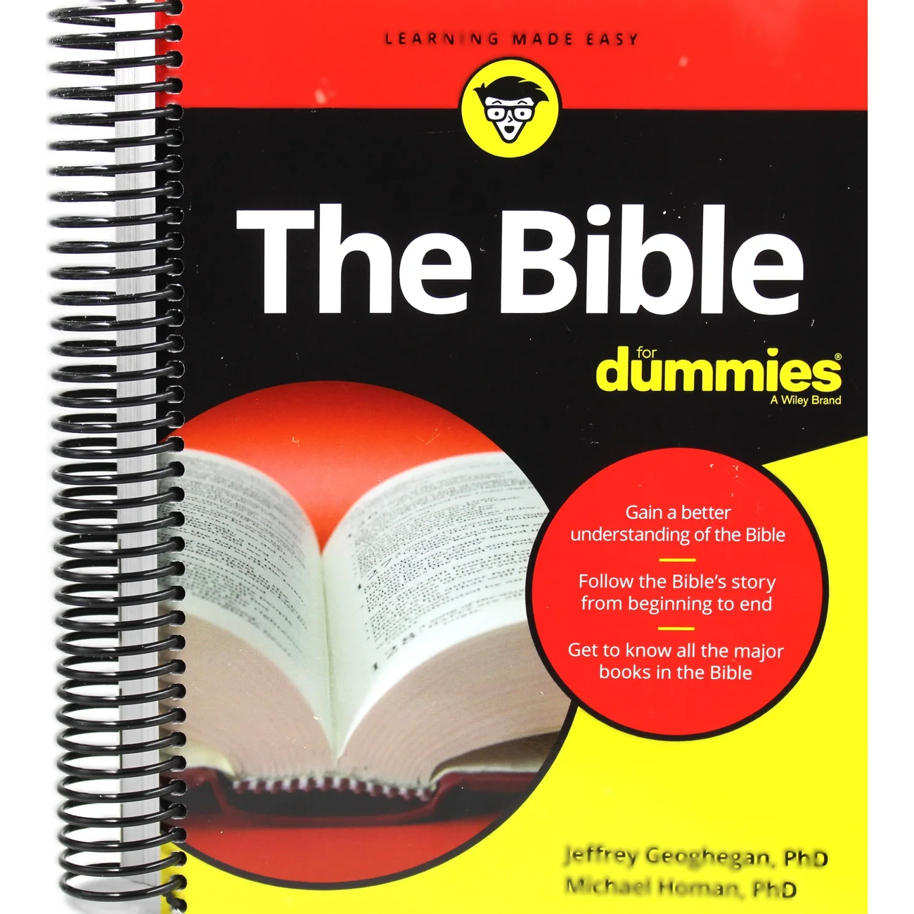 The Bible For Dummies - Easy Guide to Scripture